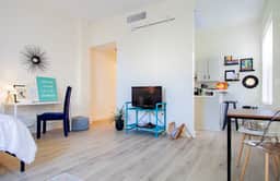 Refreshing & Spacious ✮✮✮✮✮ Sunny Studio in the Center of Adams Morgan - Image 4