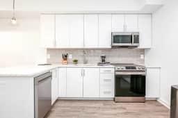 1-BR Oasis in Hill East / Lincoln Park + METRO - Image 4