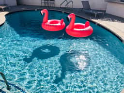 ARTBNB // king beds // NEW // pool // BUSINESS // beach // LAX - Image 3