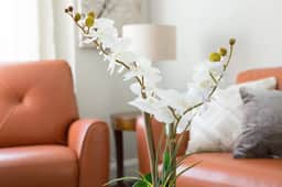Stunning NW DC home | Rooftop deck | Parking - Image 5