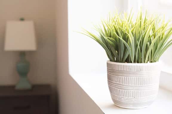 ⋆ GEM In The HEART Of Petworth ⋆ All Essential Provided ⋆ - Image 1