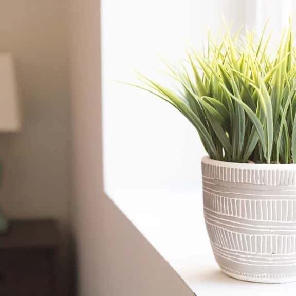 ⋆ GEM In The HEART Of Petworth ⋆ All Essential Provided ⋆ - Image 1