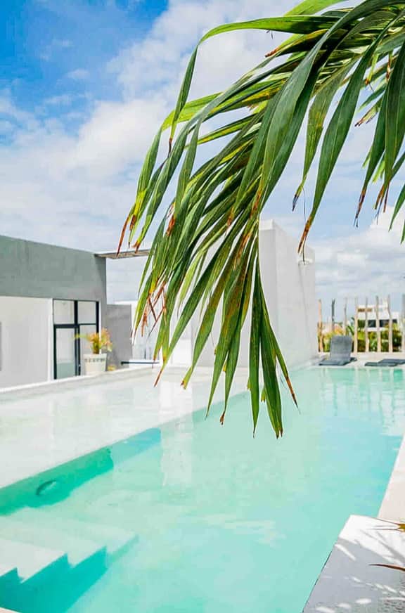 Mamitas Beach Getaway - Rooftop Pool and Kitchen - Image 5